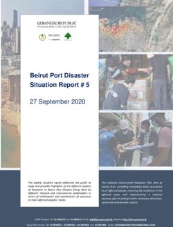 Beirut Port Disaster Situation Report # 5