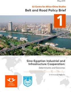Belt and Road Policy Brief - UJ Centre for Africa-China Studies
