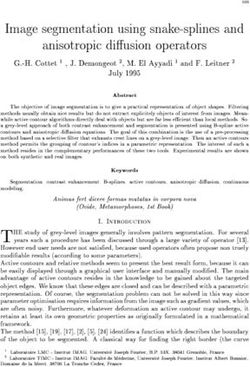 Image segmentation using snake-splines and anisotropic diusion operators