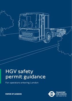 HGV SAFETY PERMIT GUIDANCE - FOR OPERATORS ENTERING LONDON - TFL