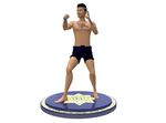 Edutainment - Thai Art of Self-Defense and Boxing by Motion Capture Technique