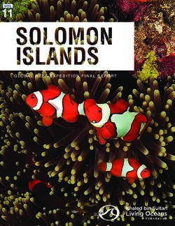 VOL11 - International Coral Reef Initiative