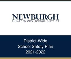 District-Wide School Safety Plan 2021-2022