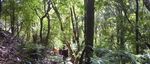 Sunrise at The Pinnacles - Inside: Day and weekend tramping programmes Dec - Feb - Auckland Tramping Club