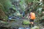 Sunrise at The Pinnacles - Inside: Day and weekend tramping programmes Dec - Feb - Auckland Tramping Club