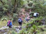 Sunrise at The Pinnacles - Inside: Day and weekend tramping programmes Dec - Feb - Auckland Tramping Club