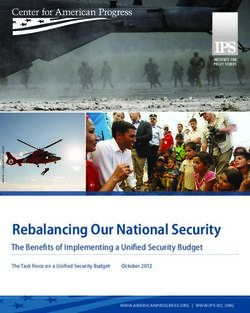 Rebalancing Our National Security - The Benefits of Implementing a Unified Security Budget - Center for American ...