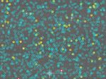 The Future of the Gaia Universe - Anthony G.A. Brown Leiden Observatory, Leiden University - Zenodo