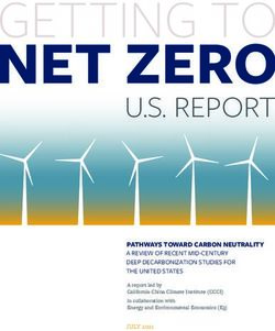 NET ZERO GETTING TO U.S. REPORT