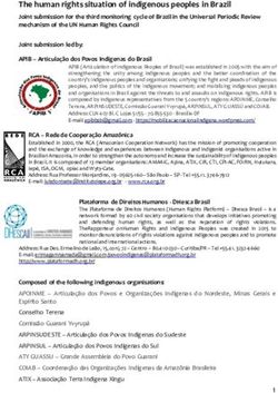 The human rights situation of indigenous peoples in Brazil - UPR Info