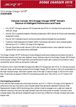 DODGE CHARGER SRT8 Overview