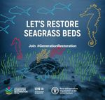 2021 2030 DECADE ON ECOSYSTEM RESTORATION PROMOTED BY THE UNITED NATIONS - 2030 decade on ecosystem restoration promoted by ...