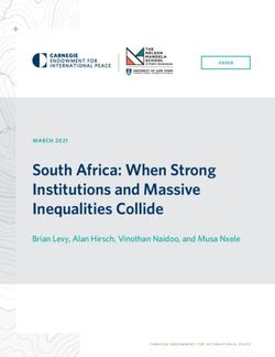 South Africa: When Strong Institutions and Massive Inequalities Collide - Brian Levy, Alan Hirsch, Vinothan Naidoo, and Musa Nxele - Carnegie ...