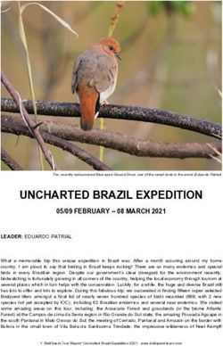UNCHARTED BRAZIL EXPEDITION - 05/09 FEBRUARY - 08 MARCH 2021 - Birdquest