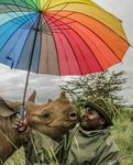 TRAVEL BROCHURE 2019-2020 - AWS