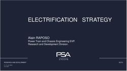 ELECTRIFICATION STRATEGY - Alain RAPOSO Power Train and Chassis Engineering SVP. Research and Development Division - Groupe PSA
