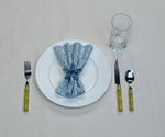 4-H Table Setting Contest - Procedures and Guidelines