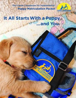 It All Starts With a Puppy ...and You - Puppy Matriculation Packet The Canine Companions for Independence - Canine Companions for ...