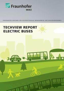 TECHVIEW REPORT ELECTRIC BUSES - Fraunhofer IMW