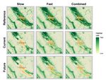 Towns and Trails Drive Carnivore Movement Behaviour, Resource Selection, and Connectivity