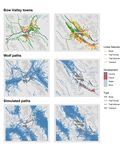 Towns and Trails Drive Carnivore Movement Behaviour, Resource Selection, and Connectivity