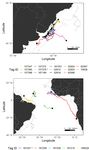 Movements, Habitat Use, and Diving Behavior of Shortfin Mako in the Atlantic Ocean