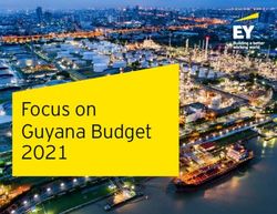 Focus on Guyana Budget 2021 - EY
