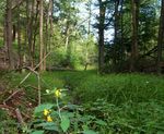 Leelanau Conservancy Conserving the Land, Water and Scenic Character of Leelanau County