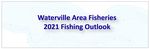 Deep, stable lakes to prairie potholes - and provide a true variety Walleye - MN DNR