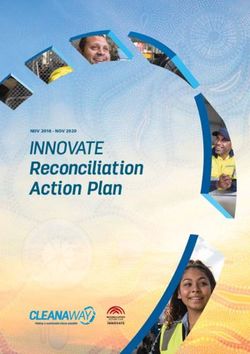 INNOVATE Reconciliation Action Plan - NOV 2018 - NOV 2020