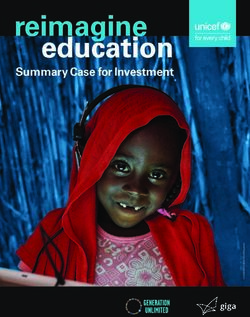 Summary Case for Investment - Unicef