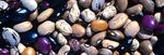 Global Food Stamps: An Idea Worth Considering? - By Tim Josling - ICTSD Programme on Agricultural Trade and Sustainable Development
