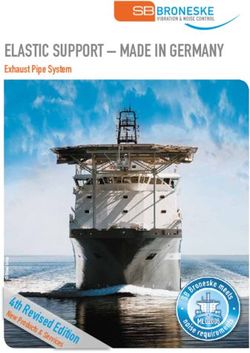 ELASTIC SUPPORT MADE IN GERMANY - Exhaust Pipe System - SB Broneske