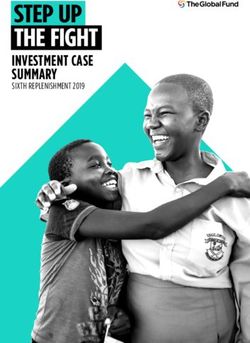 INVESTMENT CASE SUMMARY - SIXTH REPLENISHMENT 2019 - The Global Fund
