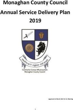 Monaghan County Council Annual Service Delivery Plan 2019
