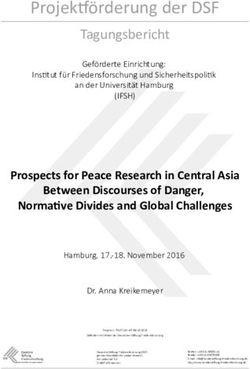 Projek örderung der DSF - Tagungsbericht - Deutsche Stiftung Friedensforschung