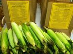 WESTSIDE SENIOR SUPPORTED AGRICULTURE FOOD BAG - PROGRAM: Review and Recommendations