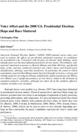 Voter Affect and the 2008 U.S. Presidential Election: Hope and Race Mattered