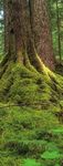 BALANCE - WASHINGTONTRAILS - WASHINGTON TRAILS ASSOCIATION