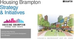 Housing Brampton Strategy & Initiatives - Land Use Policy Planning Planning, Building and Economic Development City of Brampton COUNCIL WORKSHOP ...