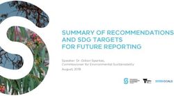 SUMMARY OF RECOMMENDATIONS AND SDG TARGETS FOR FUTURE REPORTING - Speaker: Dr. Gillian Sparkes, Commissioner for Environmental Sustainability ...