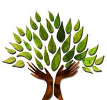 Trenton Psychiatric Hospital - Division of Behavioral Health Services - NJ.gov