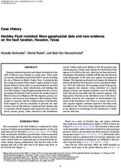 Case History Hockley Fault revisited: More geophysical data and new evidence on the fault location, Houston, Texas - Squarespace