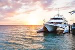 BEACH, LUNCH, CRUISE WEEKDAY DAY CRUISE PACKAGES FROM $125pp* - Tangalooma Island Resort