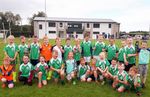 Eastern Harps GAA Club - AGM 2020
