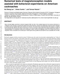 Numerical tests of magnetoreception models assisted with behavioral experiments on American cockroaches