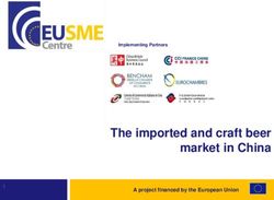 The imported and craft beer market in China - A project financed by the European Union - Flanders Investment ...