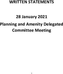 WRITTEN STATEMENTS 28 January 2021 Planning and Amenity Delegated Committee Meeting