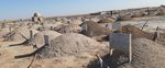 SURVIVAL OF THE FITTEST - All about coronavirus in Turkmenistan, though officially the country has no COVID-19 infections - January 2020-May 2021 ...