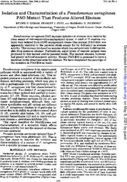 Isolation and Characterization of a Pseudomonas aeruginosa PAO Mutant That Produces Altered Elastase